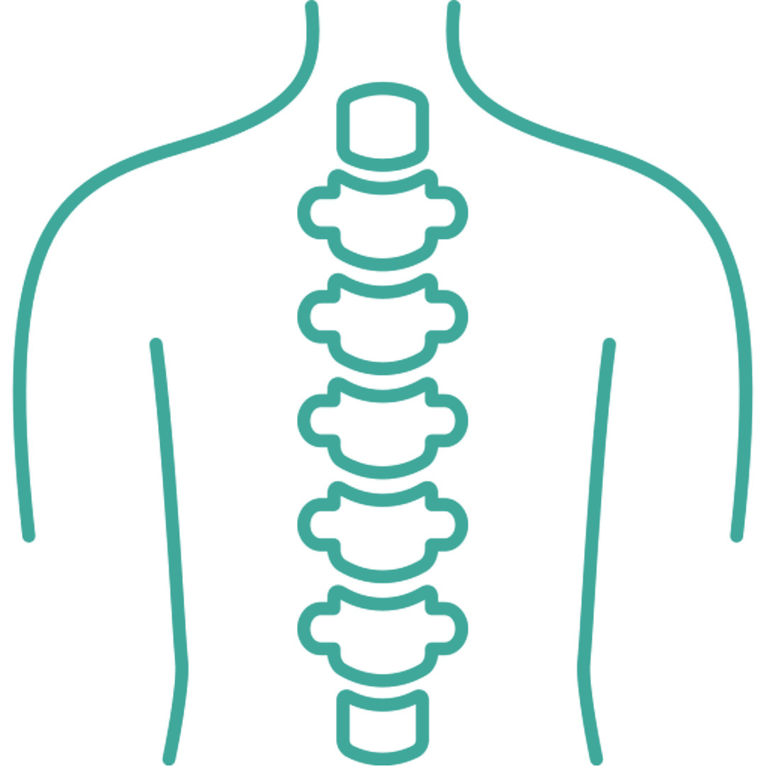 Spine Physiotherapy